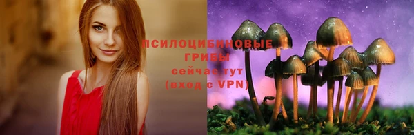 твердый Володарск