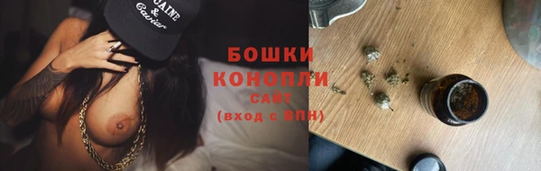 твердый Володарск