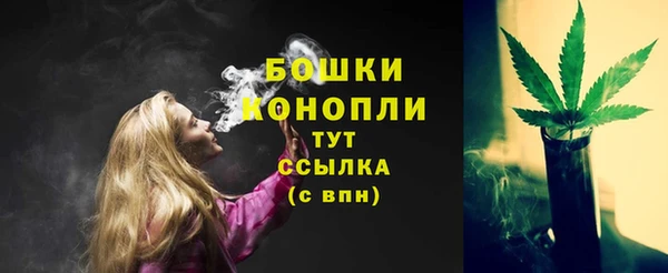 твердый Володарск