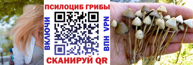 Псилоцибиновые грибы мицелий  гидра сайт  Нарьян-Мар 